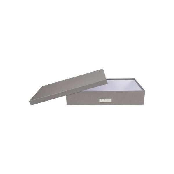 BIGSO BOX OF SWEDEN Aufbewahrungsbox Sverker A3 934154141 grau 43.5x31x8.5cm