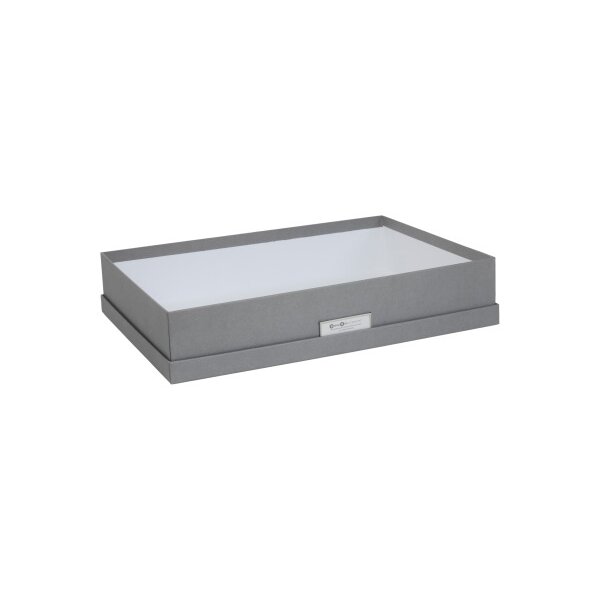 BIGSO BOX OF SWEDEN Aufbewahrungsbox Sverker A3 934154141 grau 43.5x31x8.5cm