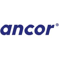 ANCOR Classuer 8cm Unique 121810 assorti A4