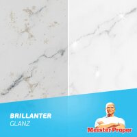 Meister Proper Nettoyant multi-usage, 1 l