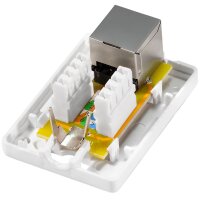 LogiLink Anschlussdose Kat.6A mit Aufputzbox, 2x RJ45, weiss