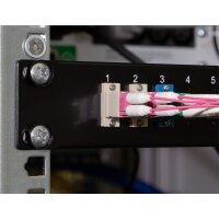 LogiLink 19" LWL Patch Panel für 24x SC-Duplex...