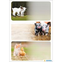 HERMA Étiquette pour livre VARIO Le monde des chevaux