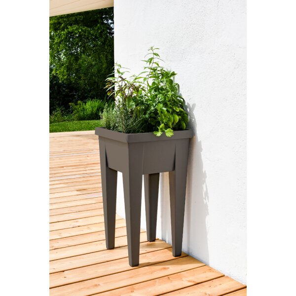 EDA Couvercle pour mini-jardini&egrave;re VEG&amp;Table, transparent