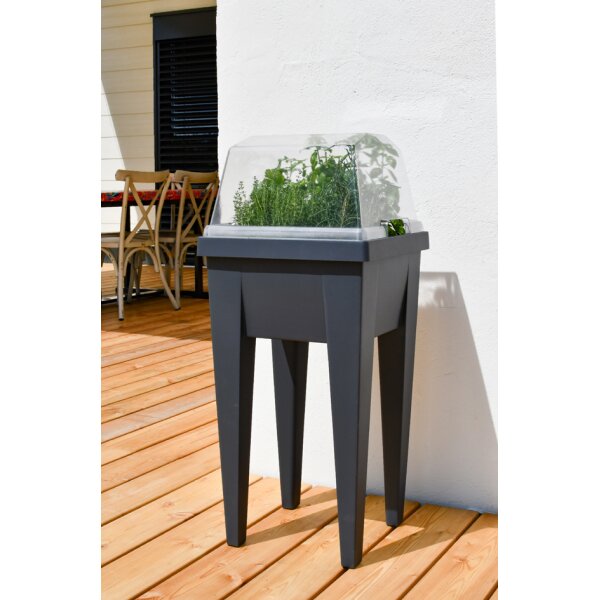 EDA Couvercle pour mini-jardini&egrave;re VEG&amp;Table, transparent