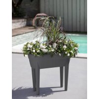 EDA Pflanztrog "OSAKA", (B)780 x (H)680 mm,...