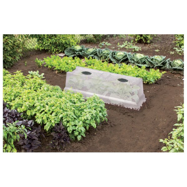 EDA Couvercle pour jardinière VEG&Table City, transparent