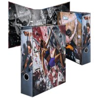 HERMA Classeur à motif Sport Sports dhiver, A4