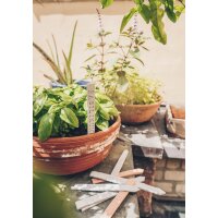 EBERHARD FABER Pâte à modeler EFA plast classic, gris