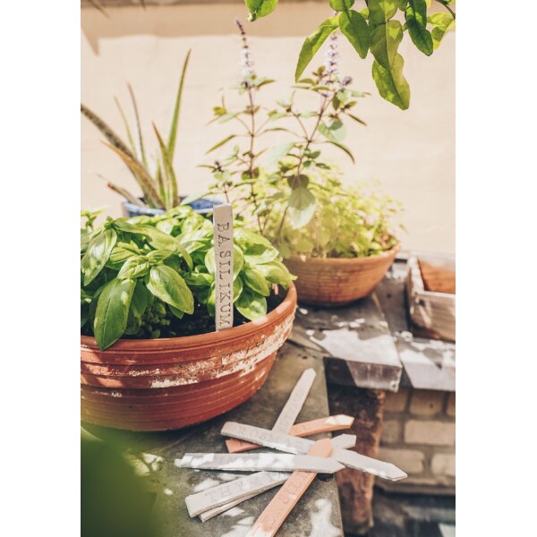 EBERHARD FABER Pâte à modeler EFA plast classic, terracotta