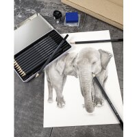 EBERHARD FABER Crayon de couleur Artist Color,...