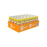 LIPTON Ice Tea Peach 11002701 33 cl, 24 Stk.