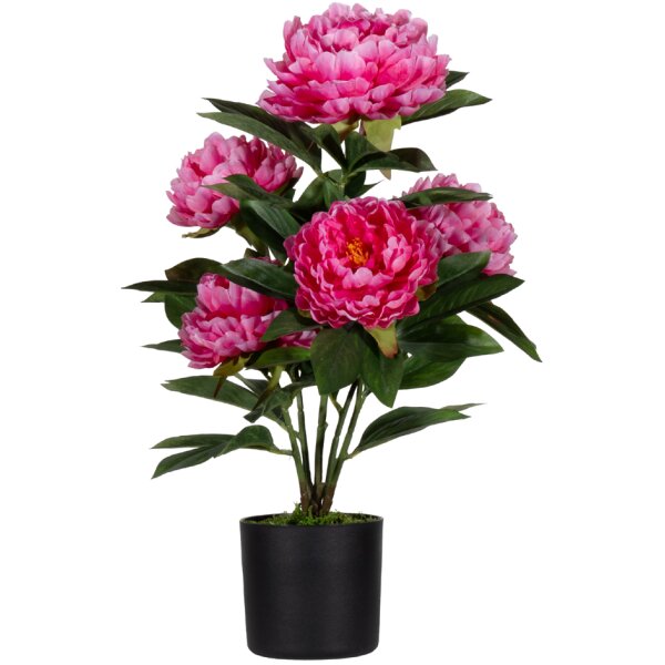 PAPERFLOW Kunstpflanze "Pfingstrose", weiss, Höhe: 550 mm