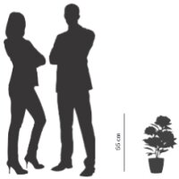 PAPERFLOW Kunstpflanze "Pfingstrose", weiss, Höhe: 550 mm