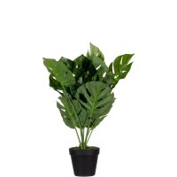 PAPERFLOW Plante artificielle monstera, hauteur: 450 mm