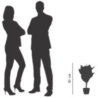 PAPERFLOW Plante artificielle fleur de lune, (H)550 mm