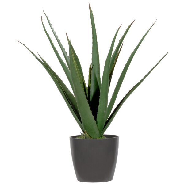 PAPERFLOW Kunstpflanze "Aloe Vera", Höhe: 450 mm