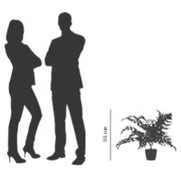 PAPERFLOW Plante artificielle fougère, hauteur:...