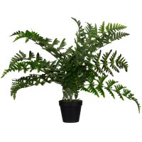 PAPERFLOW Kunstpflanze "Farn", Höhe: 550 mm