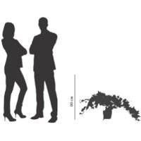 PAPERFLOW Plante artificielle lierre, hauteur: 800 mm