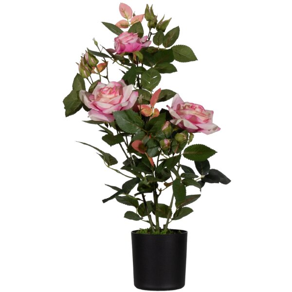 PAPERFLOW Plante artificielle rosier, (H)540 mm, rouge