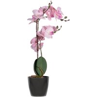 PAPERFLOW Kunstpflanze "Orchidee", rose,...