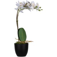 PAPERFLOW Kunstpflanze "Orchidee", rose,...