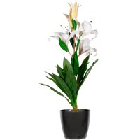 PAPERFLOW Plante artificielle fleurs de lys, (H)650 mm
