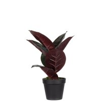 PAPERFLOW Plante artificielle caoutchouc, hauteur: 360 mm