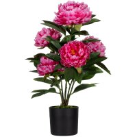 PAPERFLOW Plante artificielle pivoine, (H)550 mm, rose