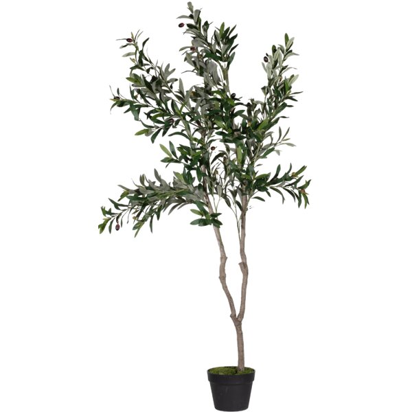 PAPERFLOW Plante artificielle olivier, hauteur: 1.550 mm