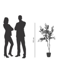 PAPERFLOW Plante artificielle olivier, hauteur: 1.550 mm