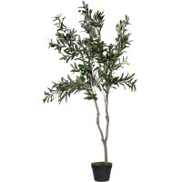 PAPERFLOW Kunstpflanze "Olivenbaum", Höhe:...