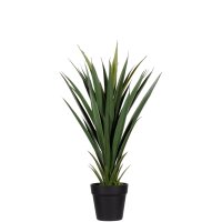 PAPERFLOW Kunstpflanze "Yucca", Höhe:...