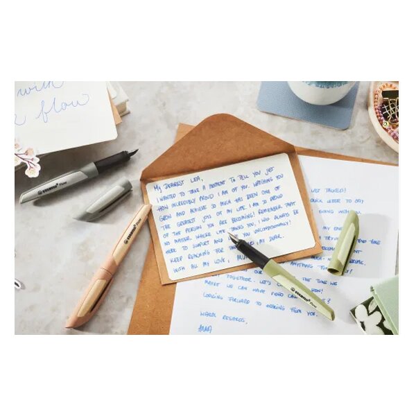 STABILO Stylo à plume Flow MONOCHROME, présentoir de 16