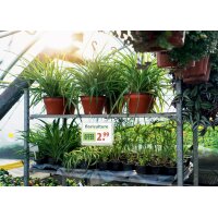 DURABLE Pochette daffichage, étanche, A5, avec...