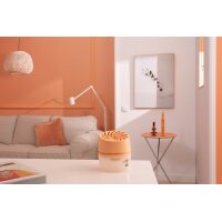 Pattex Luftentfeuchter AERO 360 Grad KOMPAKT, pfirsich