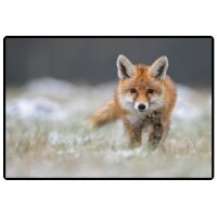 HANSA Sous-main 50x34cm 41-6000.080 Renard