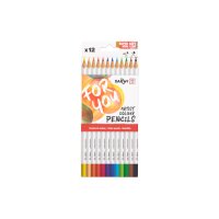 DARWI Crayon de couleur DF2100012K01C 12 pièces