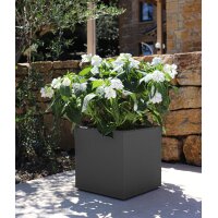 poétic Pflanzgefäss BASALT UP, quadratisch,...