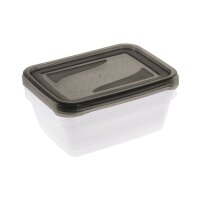 keeeper Boîte de conservation fredo fresh, 2x 2,0 L