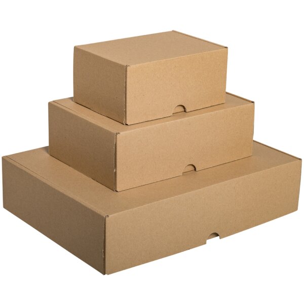 Smartboxpro Carton dexpédition maxi, (L)346x(P)247x(H)80 mm