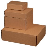 SMARTBOXPRO Carton dexpédition MODULBOX, marron