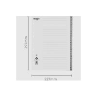 BIELLA Répertoires PP A4 47142400U gris A-Z 24 pcs.
