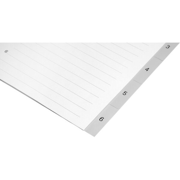 BIELLA Register PP A4 47140600U grau 1-6