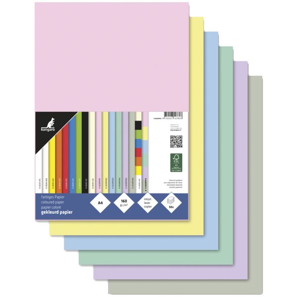 kangaro Papier multifonction, A4, 160 g/m2, assorti