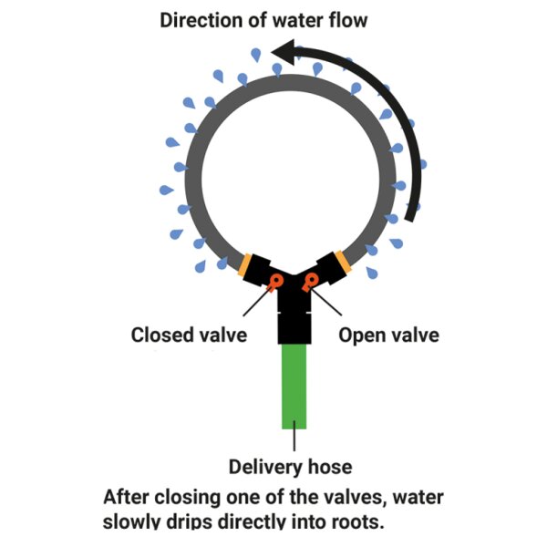 Bradas Anneau darrosage, vannes, tuyau poreux, 1/2, 2,0 m