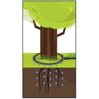 Bradas Anneau darrosage, vannes, tuyau poreux, 1/2, 2,0 m