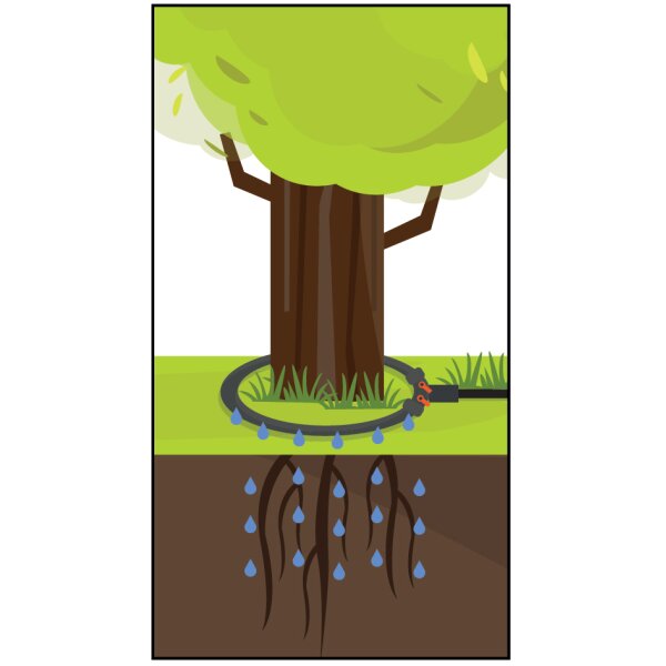 Bradas Anneau darrosage, vannes, tuyau poreux, 1/2, 3,0 m