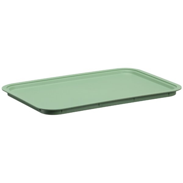 NHG Bo&icirc;te de rangement AKITA STORAGE S, PP, vert